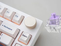 8 Rekomendasi Keyboard Rapid Trigger Terbaik Tahun 2025 untuk Gamer Kompetitif