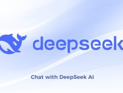 India Perkuat Keamanan Data dengan Menjalankan DeepSeek di Server Lokal